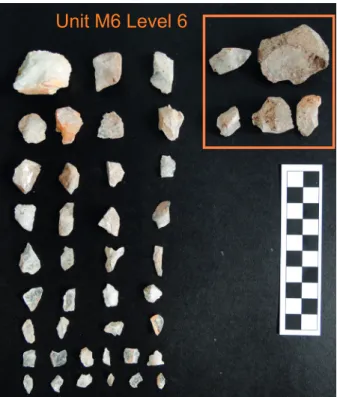 Figure 10 - Sample of cores (inside box) and flakes from Unit  M6, Level 26, dated ca