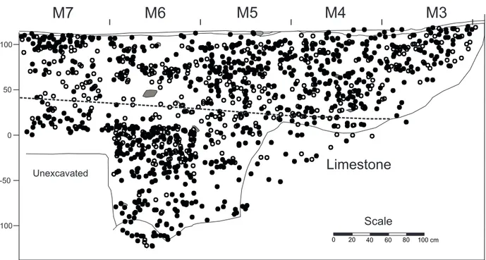 Figure 4 - East profile of the “M Units” showing major stratigraphic layers, soil colors, and radiocarbon samples.