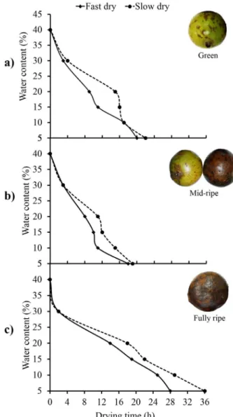 Figure 1 - Drying rate of Alibertia edulis seeds: fast drying  (silica gel) and slow drying (room temperature) from fruit in  various stages of ripening (a - green, b - mid-ripe and c- fully  ripe).