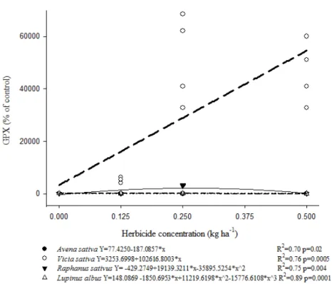 Figure 3 - Effect of fomesafen on Guaiacol peroxidase (GPX) activity in different crop plants.