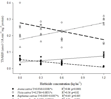 Figure 6 - Effect of sulfentrazone on lipid peroxidation in different crop plants. 