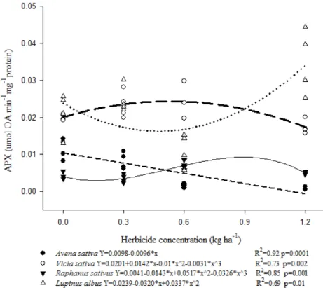 Figure 8 - Effect of sulfentrazone on Ascorbate peroxidase (APX) activity in different crop plants.