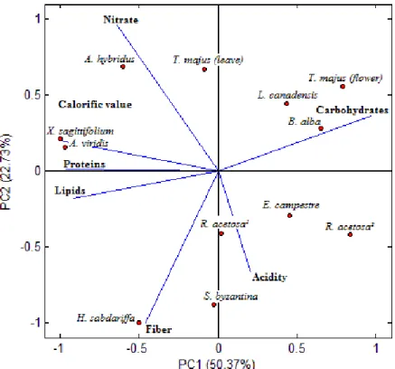Figure 1 - Analysis of the main components related to the observed results for  antioxidant activity, vitamin C and phenolic compounds.