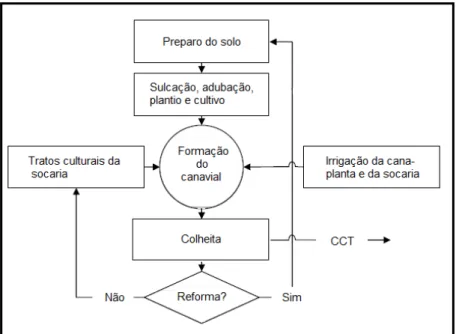 Figura 2.2 – Fluxograma das atividades que compõem a etapa agrícola (Fonte: adaptada de  Fernandes, 2003) 