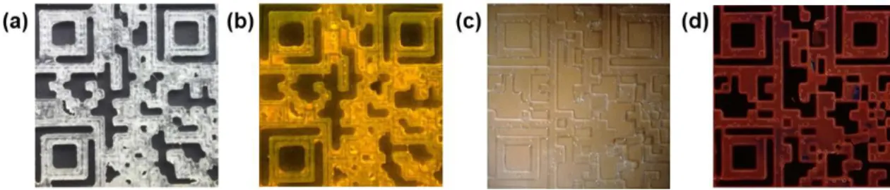 Figura 3. 2 – Fotografias de códigos QR baseados em dU6EuTb impressos em PMMA com dimensões 3 × 3  cm 2  sobre fundo preto exposto (a) à luz ambiente e (b) sob excitação UV, à temperatura ambiente; e impresso  em acetado com dimensões 5 × 5 cm 2  sobre uma