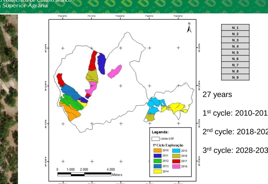 Figure 8. New compartments design  – 1 st  cycle, 2 nd  cycle and 3 rd  cycle 27 years 1st  cycle: 2010-2018 2nd  cycle: 2018-2027 3rd cycle: 2028-2036 N_1 N_2 N_3 N_4 N_5 N_6 N_7 N_8 N_9 