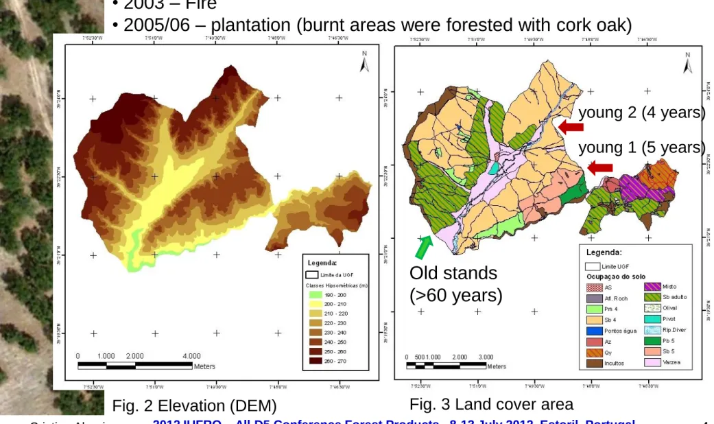 Fig. 3 Land cover area  