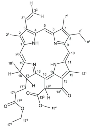Figura 1 - Estructura del éster etílico de feoforbida a.