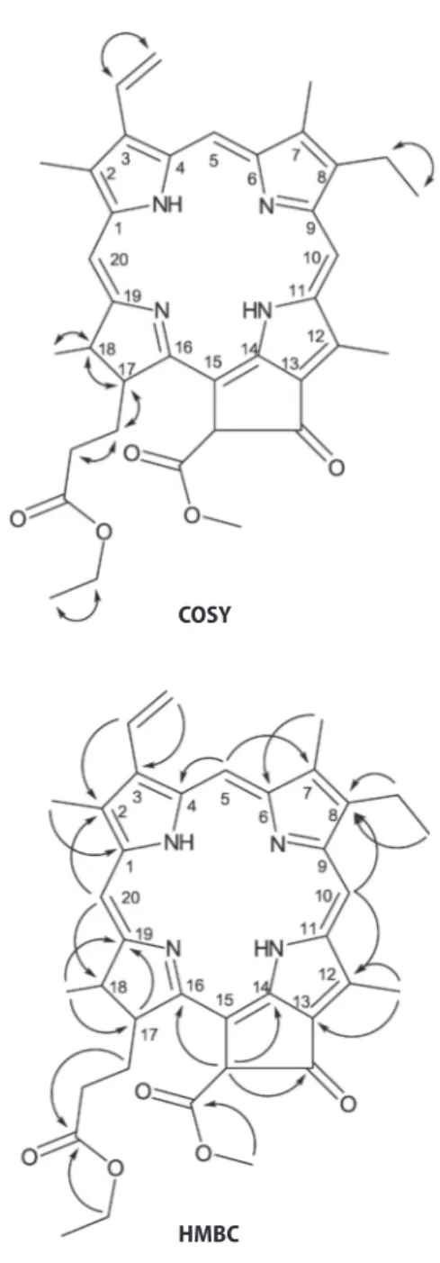 Figura 2 - Correlaciones COSY y HMBC para el compuesto 1.