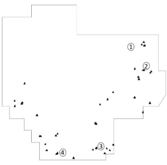Figure 1 - Spatial distribution of the 41 trees (black triangles) and four studied  C