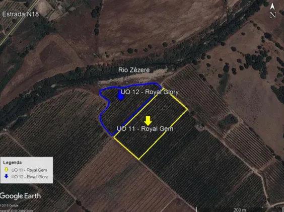 Figura 4 - Localização no terreno das UO 11 e 12 