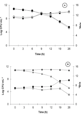 Figure 2. Brix value and growth of S. cerevisiae (A) and  L. lactis  (B) during alcoholic fermentation in flasks