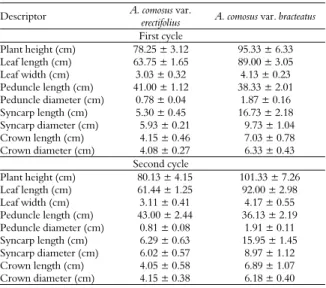 Table 2. Quantitative morphological characteristics of parentals  (Ananas comosus var
