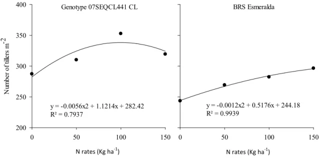 Figure 2. Number of tillers of rice plants of the genotypes 07SEQCL441 CL and BRS Esmeralda in a no-tillage system as a function of  the nitrogen rate
