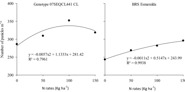 Figure 3. Number of panicles of the rice plants of the genotypes 07SEQCL441 CL and BRS Esmeralda in a no-tillage system as a  function of the nitrogen rate