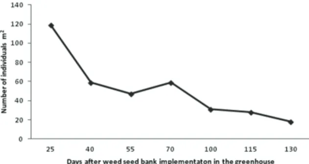 Figure 2.  Germination curve in the weed seed bank in the soil  assessed in the greenhouse from a smallholder corn field in Lago  Verde County, Maranhão State, northeastern Brazil