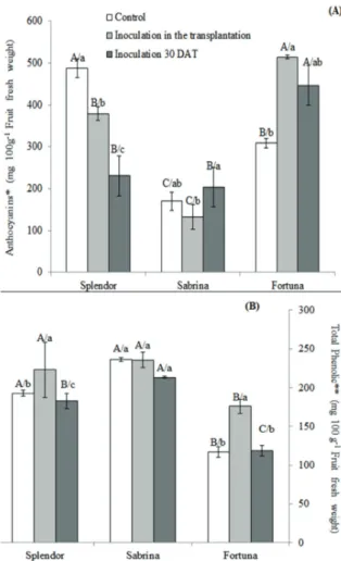 Figure 2. Content of anthocyanins and total phenolics in fruits of  three varieties of strawberry plants grown in coconut fiber and  inoculated with mycorrhizal fungi at different times
