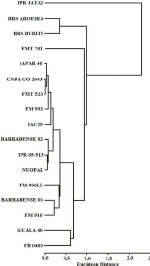 Figure 4. Dendrogram resulting from hierarchical cluster  analysis of cotton cultivars based on specific activity (Sa), L-value  (L) and L-value discounting the P present in the cottonseed  (L seed ) in low P (20 mg kg -1 ) conditions