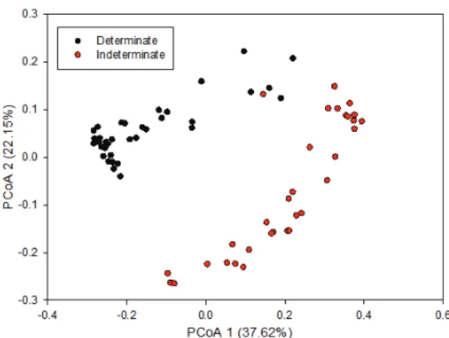Figure 3. Bar plot structure based on three AFLP combinations  of primer/enzyme (E-AAG/M-CTC, E-ACT/M-CTT, and  E-ACC/M-CTT) for the 72 snap bean accessions (determinate  and indeterminate), showing the distributions of both groups