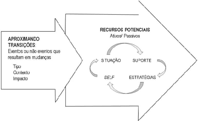 Figura 1 - O processo de transição: mudando as reações ao longo do tempo 