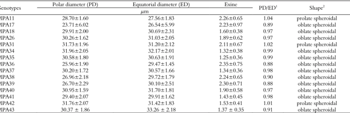 Table 1. Morphology and morphometry of pollen grains of the castor bean (Ricinus communis L.) in equatorial view