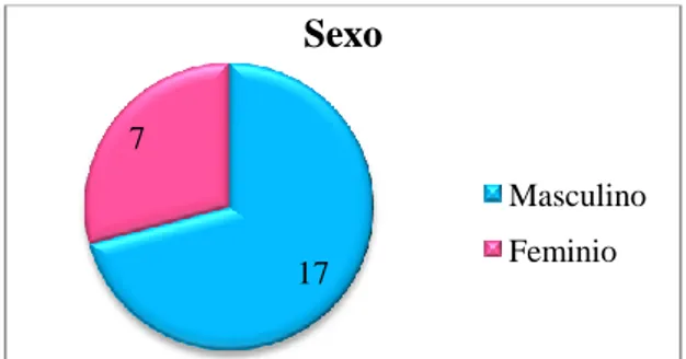 Gráfico 1 – Composição da turma quanto ao sexo. 