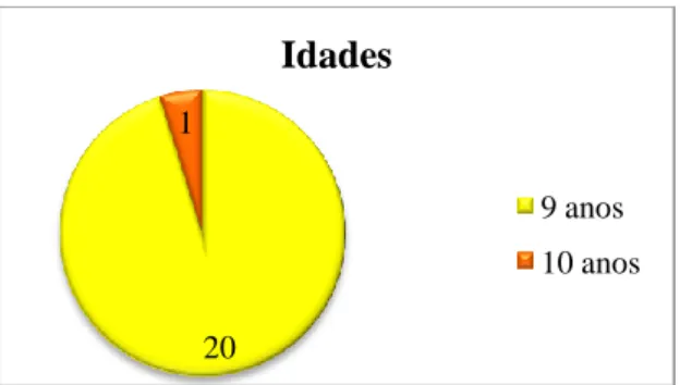 Gráfico 6- Composição da turma quanto à idade. 