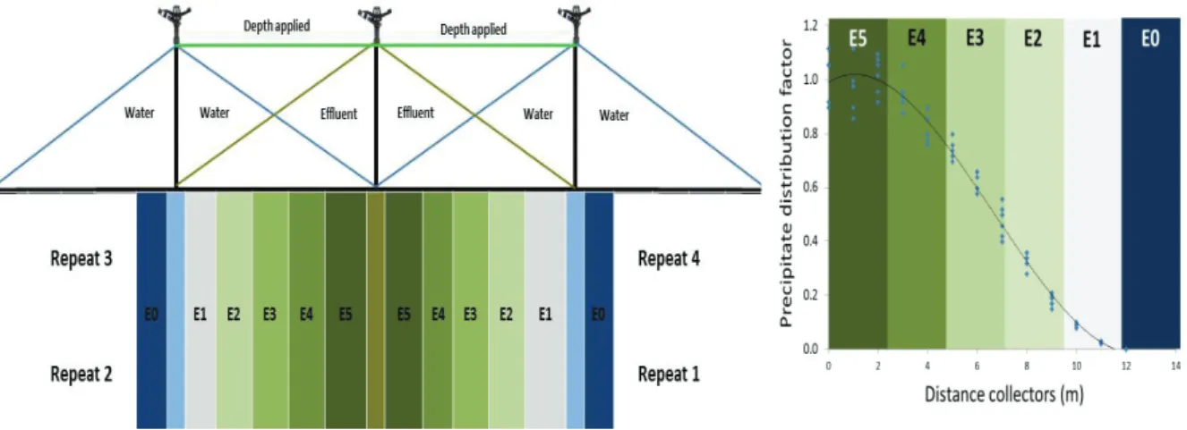 Figure 1. Experimental diagram showing the lines of gradual distribution of TSW in water (left) and the distribution ratio of rainfall on  the distance of irrigation lines (right)