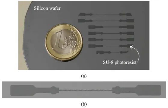 Figure 2.2. Example of a SU-8  mold used in the fabrication process of the PDMS devices: 
