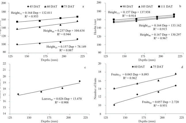 Figure 2. Plant height from 45 to 75 days after transplanting (DAT) (a) and from 90 to 111 DAT (b), number of leaves at 45 DAT (c),  and number of fruits at 60 and 75 DAT (d) at different irrigation depths