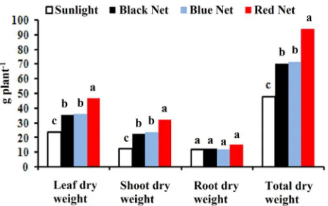 Figure 1 - Leaf dry weight (LDW), shoot dry weight (SDW),  root dry weight (RDW) and total dry weight (TDW) of P