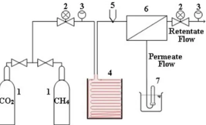 Figure 1 - Gas Permeation System. 1 – Feed gas cylinder; 