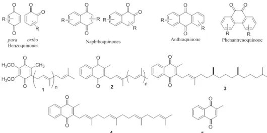 Figure 1 – General structures and examples of quinones with important metabolic functions.