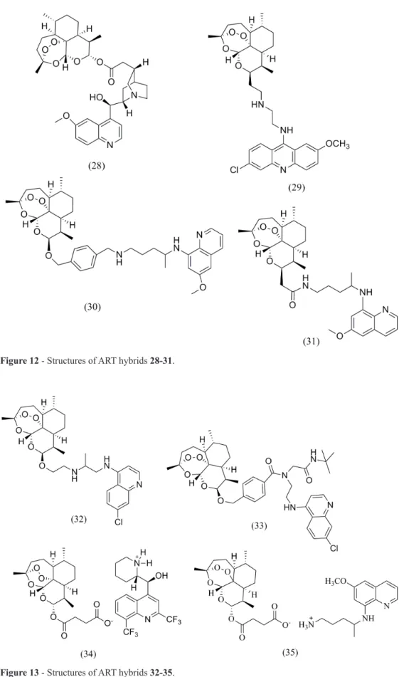Figure 12 - Structures of ART hybrids 28-31.