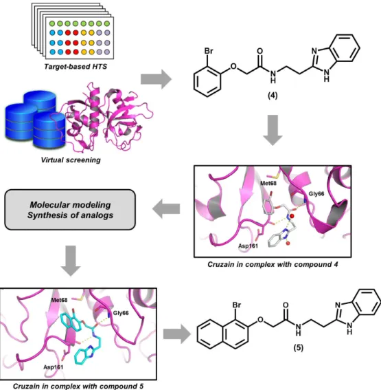 Figure 3 - Integration of target-based high-throughput screening (HTS), molecular modeling and  structure-activity relationship (SAR) studies for the discovery of novel reversible cruzain inhibitors.