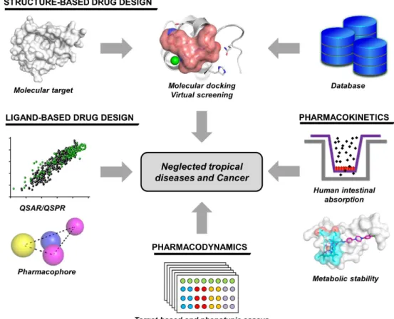 Figure 1 - Drug discovery strategies employed at the Laboratory of Medicinal and Computational  Chemistry (LQMC)