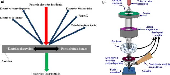 Figura 4.2: a) Um feixe de electrões incide na amostra e os electrões são reflectidos de diferentes formas,  tendo como objectivo  a caracterização da amostra; b) Esquema da constituição de um microscópio  electrónico de varrimento [imagem adaptada da pági