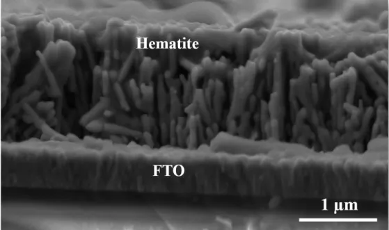 Figure 5 - Scanning electron microscopy (SEM) image of the cleaved Sn-hematite film.