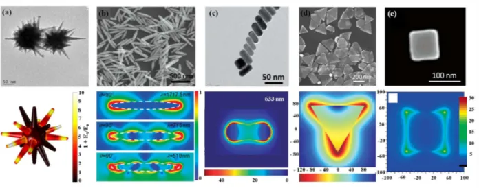 Figure 10 - Electron microscopy images of nanostructures and corresponding electric fields: (a) nanostars (Atta et al
