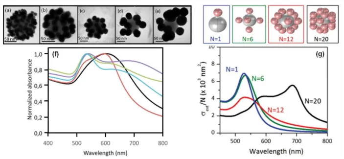 Figure 13 - TEM images of raspberry-like clusters made of 106 nm polyelectrolyte-coated silica andAuNPs with different diameters: