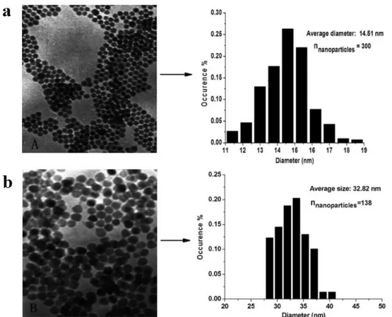 Figure 3 - TEM pictures of Fe 3 O 4 MNPs with average sizes (a) 14.51 nm and (b) 32.82 nm, with the corresponding histograms for size distribution on the right hand side
