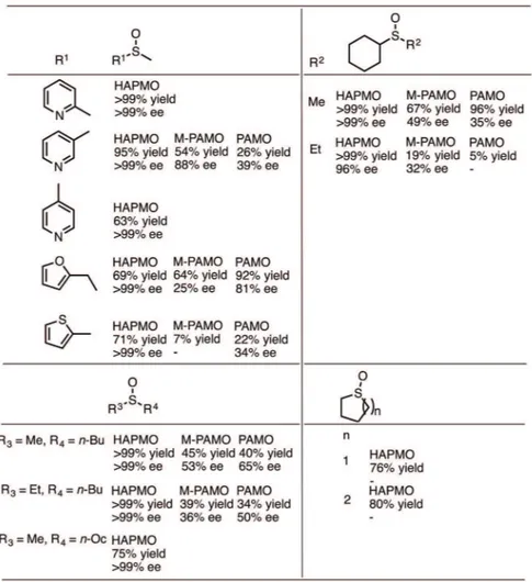 Figure 16 - Use of BVMOs (HAPMO, M-PAMO and PAMO) described by Rioz-Martínez  et al. (2010) to produce sulfoxides.