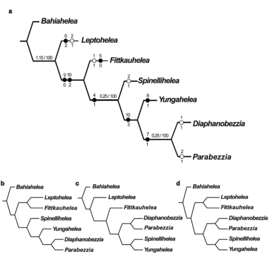 Figure 24.  (a-d)  cladograms obtained under K=3. The numbers above the nodes in cladogram a  represent the absolute and relative Bremer supports, respectively.