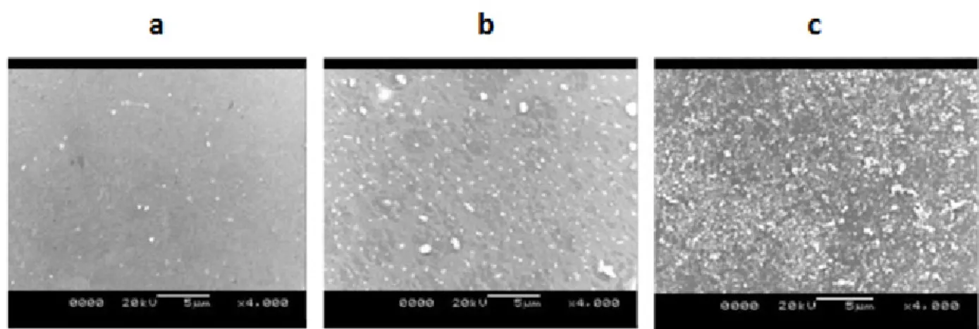 Figure 1 -  Representative SEM images of the a) mPE,  b ) mPE-2.5 J/cm 2  and c) mPE-5 J/cm 2  treated samples.