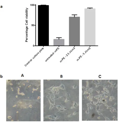 Figure 4 - (a) Cell viability of mPE, mPE-2.5 J/cm 2  and mPE-5 J/cm 2  treated samples after  24 h using MTT assay ( b ) Photomicrograph of the mPE, mPE-2.5 J/cm 2  and mPE-5 J/cm 2 treated samples seeded with 3T3 fibroblast cells after 24 h