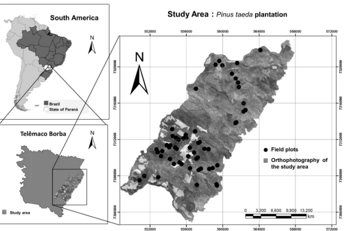Figure 1 - Location of study area. The circles indicate the location of the Pinus taeda plantations.