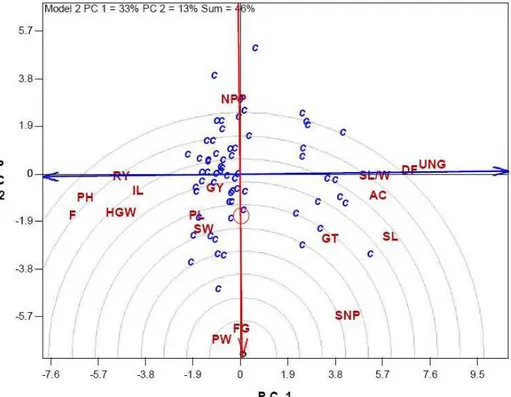 Figure 6 - Ideal tester view of cultivar by trait biplot, showing the relationships of traits of 18  measured traits