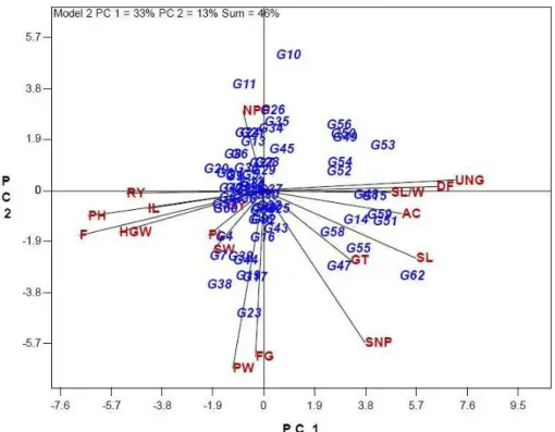 Figure 2 - Vector view of the genotype-by-trait biplot, showing the interrelationships among  traits