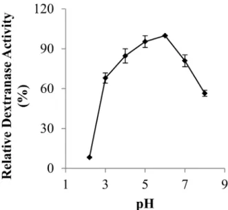Figure 4 - Clear band showing the dextranase activity of crude  extract on a 10% native PAGE gel containing 1% (w/v) blue  dextran.
