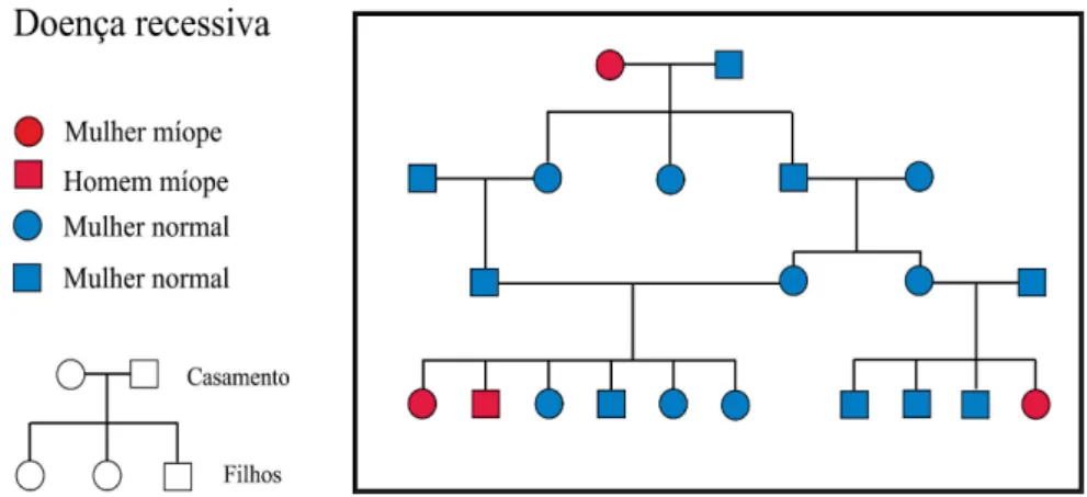 Figura 7: Árvore genealógica típica de um indivíduo com um carácter recessivo  (miopia) (extraído de Barros &amp; Delgado, 2008)